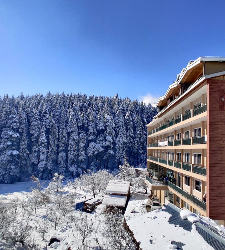 Manali hotels