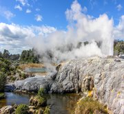 Rotorua – Agrodome Tour – Te Puia (Te Rā) + Haka Guided Tour