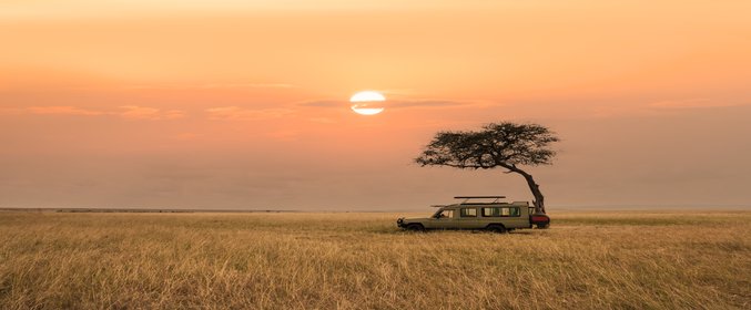 Tanzania Safari