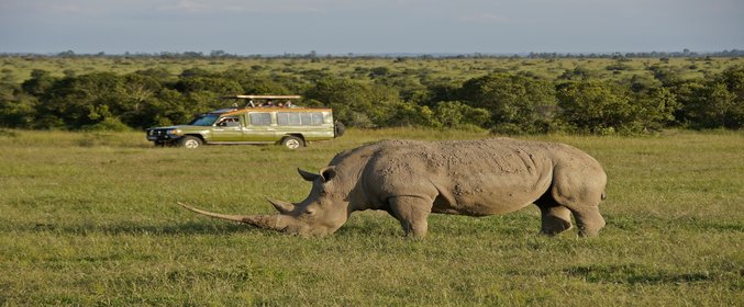Magical Kenya