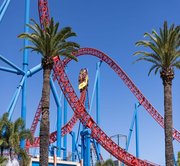 Full Day Movie World with Return SIC Transfers