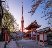 Tokyo City Tour + Tokyo Tower