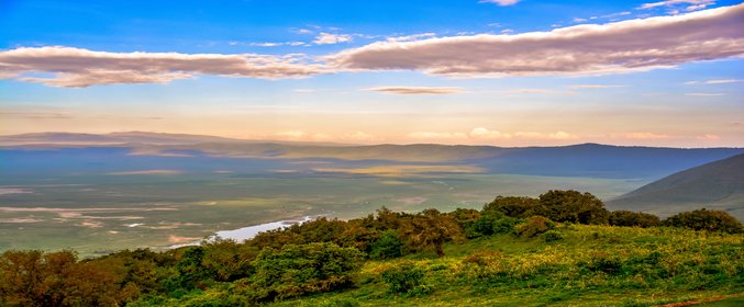 Tanzania Safari
