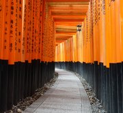 Kyoto – Arashiyama & Fushimi Inari Shrine