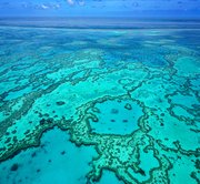 Great Barrier Reef Day Tour to Green Island