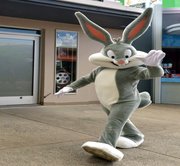 Gold Coast - Movie World Theme Park