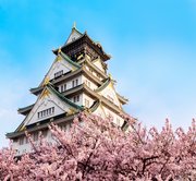 Day 2: Wonders Of Japan