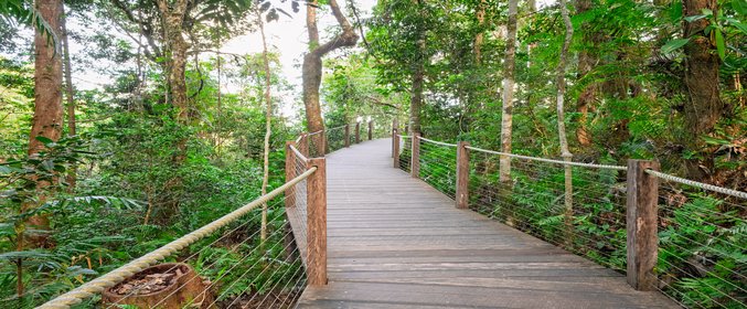 Tropical Cairns Discovery