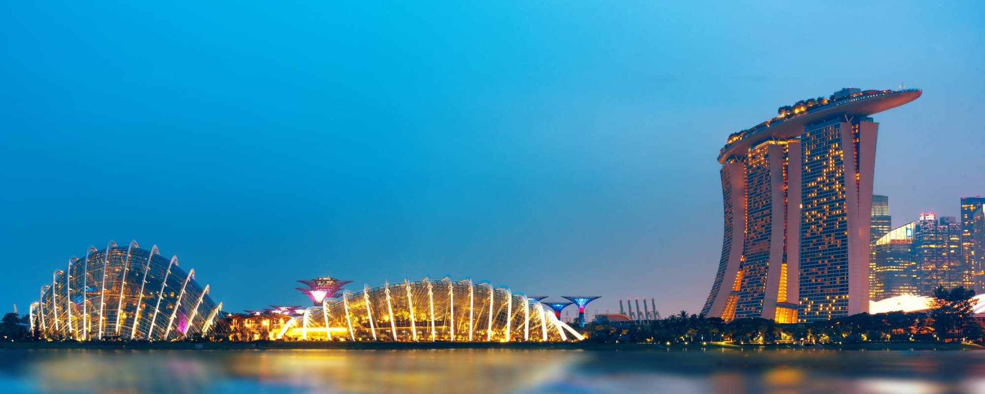 Delhi to Singapore flights