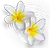 INTERCARIBBEAN AIRWAYS