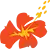 Air Caledonie International