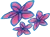 Air Rarotonga